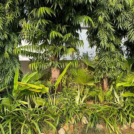 The Bougainvillea Cottage Farmstay Near Dehradun , 2 Bedroom Private Cottage Next To Fields And Orchards With Hill Views Εξωτερικό φωτογραφία