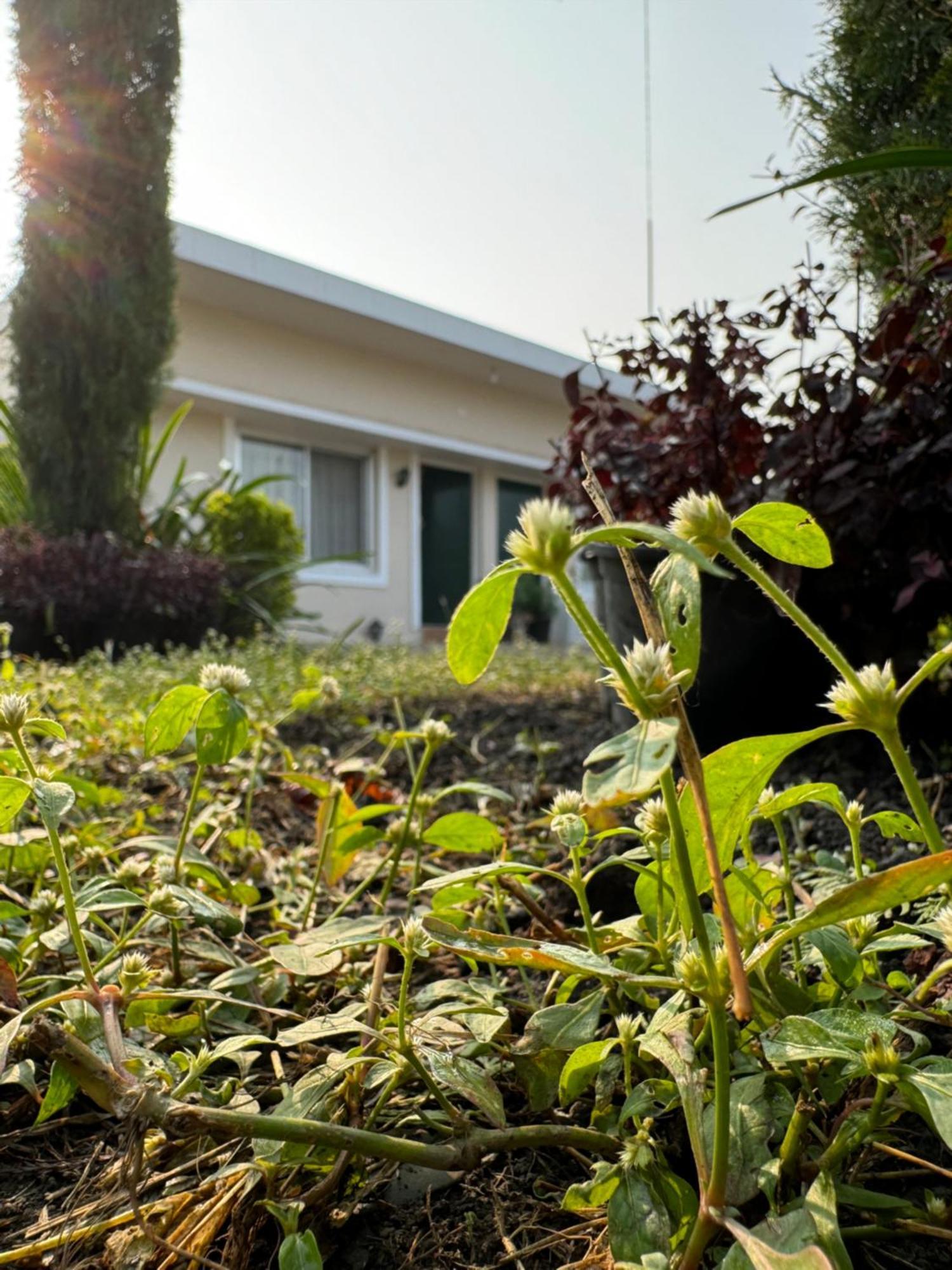 The Bougainvillea Cottage Farmstay Near Dehradun , 2 Bedroom Private Cottage Next To Fields And Orchards With Hill Views Εξωτερικό φωτογραφία